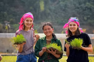 Hai nữ du khách nước ngoài thích thú với công việc cấy lúa. (Ảnh: A Giàng).