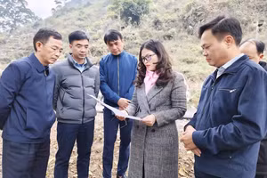 Bà Vương Ngọc Hà, Phó Chủ tịch UBND tỉnh Tuyên Quang trong chuyến khảo sát. (Ảnh: CTTTQ)