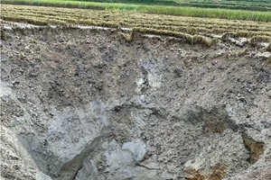 Xuất hiện hố sụt rộng tại xã Ngọc Long, Tuyên Quang.