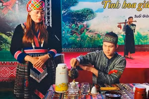 Trà Shan tuyết Suối Giàng được xem là "vàng xanh" giữa đại ngàn.