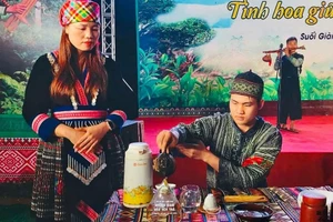 Trà Shan tuyết Suối Giàng được xem là "vàng xanh" giữa đại ngàn.
