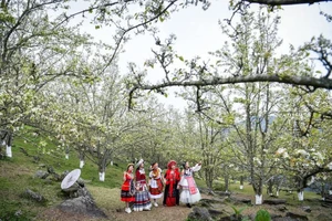 Lễ hội hoa lê Hồng Thái kéo dài từ 28/2 - 10/3/2026.