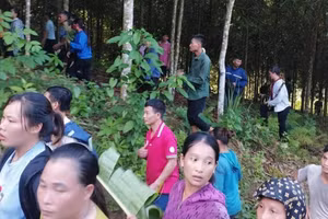 Người dân cùng lực lượng chức năng tìm kiếm bé trai 2 ngày mất tích trong rừng sâu.