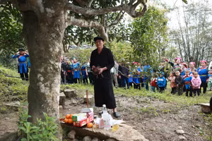 Nghi thức tri ân cây trà Shan tuyết. (Ảnh: Anh Đoàn)