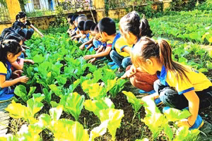 Các bé trường Mầm non Sơn Lương, Văn Chấn, Yên Bái thích thú với trải nghiệm trồng rau tại nhà trường.