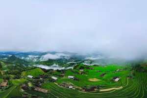 Cảnh đẹp ấn tượng mùa lúa xanh ở Bản Phùng. (Ảnh: Định Đặng).