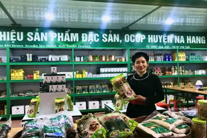 Các sản phẩm OCOP được trưng bày và bán tại điểm giới thiệu sản phẩm nhằm thu hút khách du lịch khi đến với Tuyên Quang.