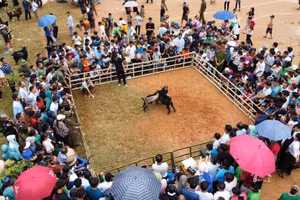 Một trò chơi dân gian tại lễ hội Pay Tái hàng năm.