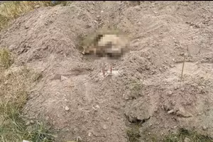 Xương sọ người được phát hiện ở bãi sông Hồng. (Ảnh: NDCC)