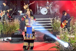 Ca sỹ Phương Thanh khuấy động sân khấu với màn biểu diễn của mình.