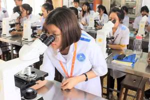 Sinh viên Trường Đại học Tây Nguyên tích cực nghiên cứu khoa học. (Ảnh: TT)