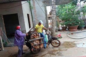 Một cô giáo tiểu học cùng chồng đi buôn bán gà để nuôi con và giữ nghề. (Ảnh: NY)