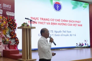 Đại diện Bộ Y tế báo cáo tham luận tại Hội thảo. (Ảnh: TT)