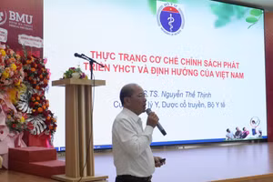 Đại diện Bộ Y tế báo cáo tham luận tại Hội thảo. (Ảnh: TT)
