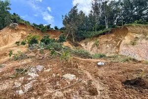 Sạt lở đất tại Lâm Đồng.