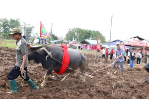 Phục dựng nghi thức xuống đồng tại lễ hội Lồng Tồng ở xã Ea Kly, Đắk Lắk. (Ảnh: Thế Hùng).