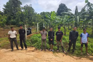 Nhóm thanh thiếu niên dàn cảnh cướp điện thoại để lấy tiền ăn nhậu. (Ảnh: SĐ)