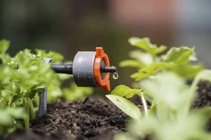 Công nghệ tưới nhỏ giọt giúp tiết kiệm nước. (Ảnh: IT)