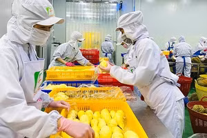 Chế biến sâu giúp nâng giá trị nông sản Đắk Lắk. (Ảnh ITN)