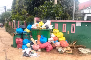 Rác ùn ứ tại nhiều tuyến đường, khu dân cư thuộc TP Buôn Ma Thuột (cũ) tỉnh Đắk Lắk.