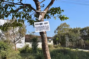 "Cò đất" hoạt động tự phát gây nhiễu loạn thị trường bất động sản tại nhiều nơi ở Đắk Lắk.