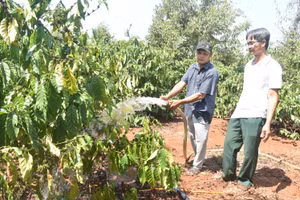 Ông Y Tuyên Bkrông chia sẻ quy trình chăm sóc cây cà phê với bà con nông dân (Anh: NA)