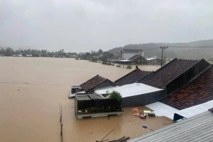 Lũ vượt đỉnh năm 1993, Đắk Lắk công bố tình huống khẩn cấp về thiên tai.