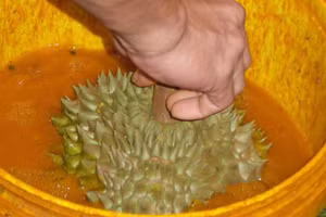 Ảnh minh họa ITN.