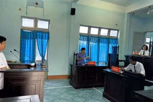 Tài xế xe tải Phạm Văn Phú tại phiên tòa. (Ảnh: ĐX)