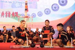 Qua 3 ngày diễn ra Liên hoan, Ban tổ chức ghi nhận hơn 100 tiết mục đặc sắc do các nghệ nhân trình diễn.