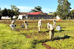 Phạm nhân tích cực cải tạo, lao động trong quá trình chấp hành án tại Trại tạm giam số 1. (Ảnh: TT)