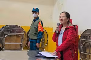 Bà Nguyễn Thái Quỳnh Nga, Hiệu trưởng Trường Tiểu học Trưng Vương bị đình chỉ 15 ngày. (Ảnh: QT)