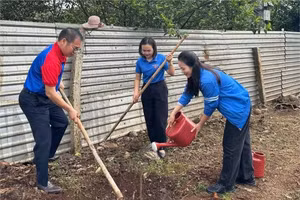 Tuổi trẻ Buôn Ma Thuột triển khai Chương trình trồng cây “Đời đời nhớ ơn Bác Hồ”. (Ảnh: TĐ)
