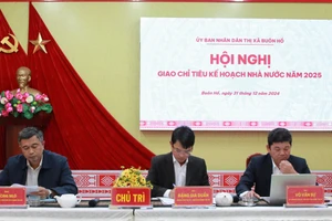 Chủ trì Hội nghị. (Ảnh: TT)