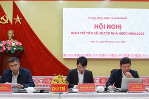 Chủ trì Hội nghị. (Ảnh: TT)