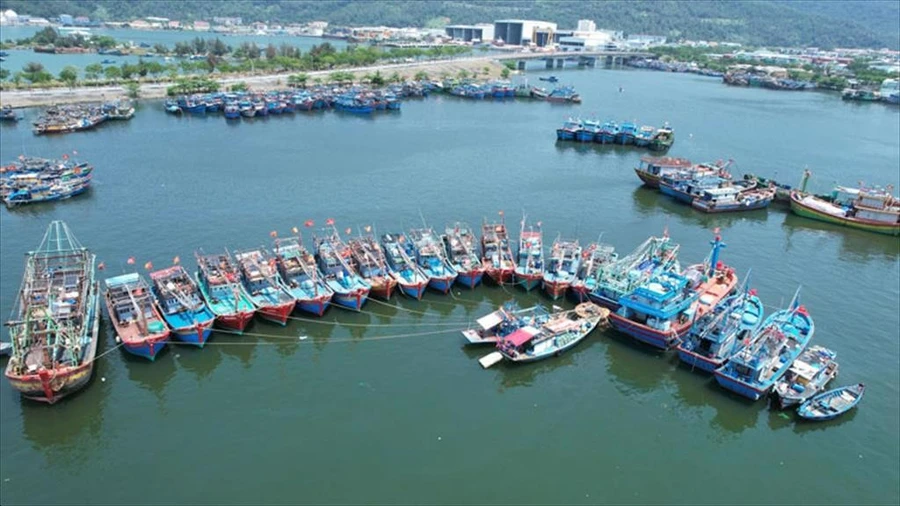 Việt Nam hợp tác quốc tế chống khai thác IUU