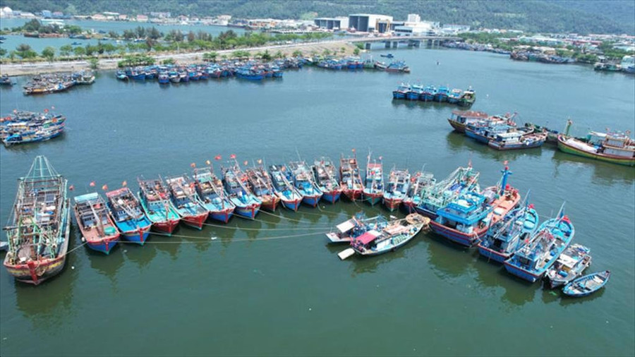 Việt Nam hợp tác quốc tế chống khai thác IUU