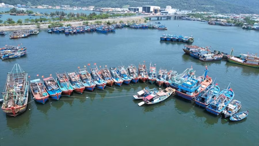 Việt Nam hợp tác quốc tế chống khai thác IUU