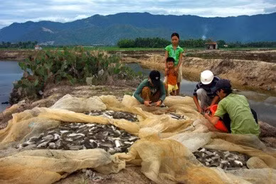 Australia hỗ trợ Việt Nam hướng tới nông nghiệp bền vững 