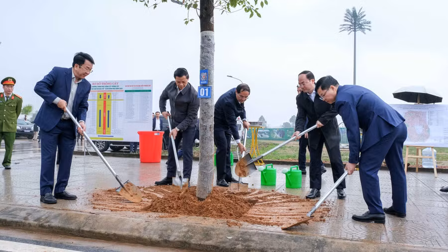 Thường trực Tỉnh ủy Thái Nguyên trồng cây hai bên đường vào sân vận động tỉnh.