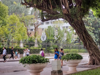 9-3558.jpg