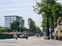 a1.jpg