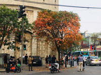 l1.jpg