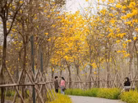 p1.jpg