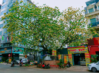 a1.jpg