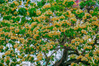 a8.jpg