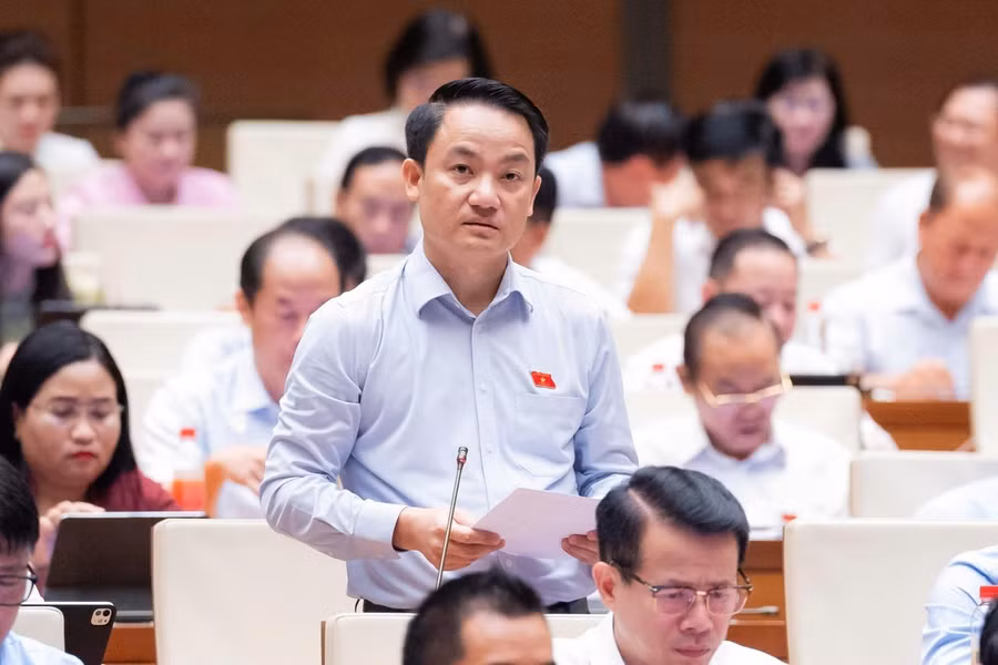 Đại biểu Lê Văn Thế, Đoàn ĐBQH tỉnh Ninh Bình.