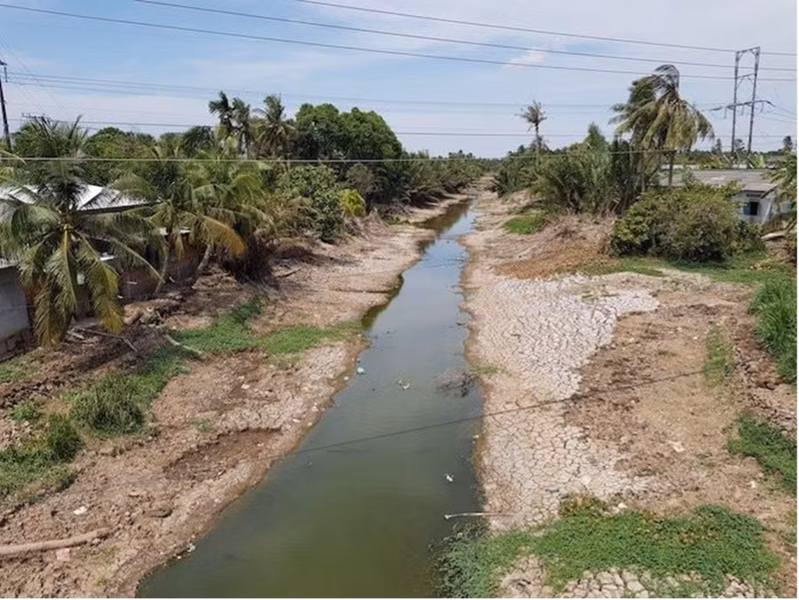 Xâm nhập mặn được dự báo sẽ đạt đỉnh vào giai đoạn 19/3 - 23/3 (Ảnh minh họa)