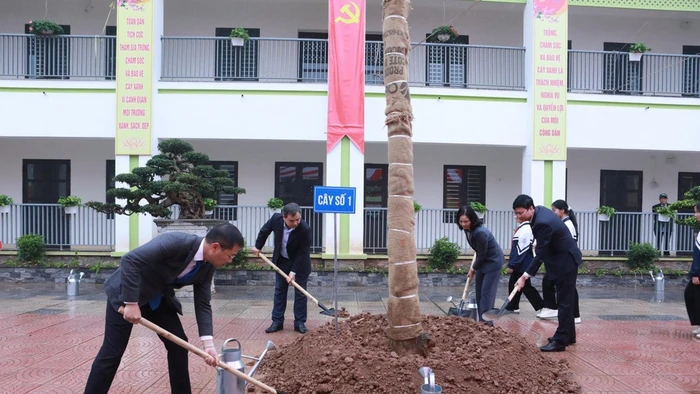 Ngành Giáo dục Hà Nội vận động trồng mới 15.000 cây xanh