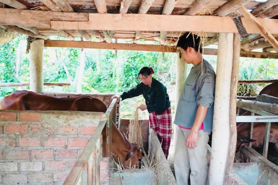 Mô hình "cầm tay chỉ việc" giúp lan tỏa cách làm hiệu quả. Ảnh: N.Toàn anh-2-2.jpg